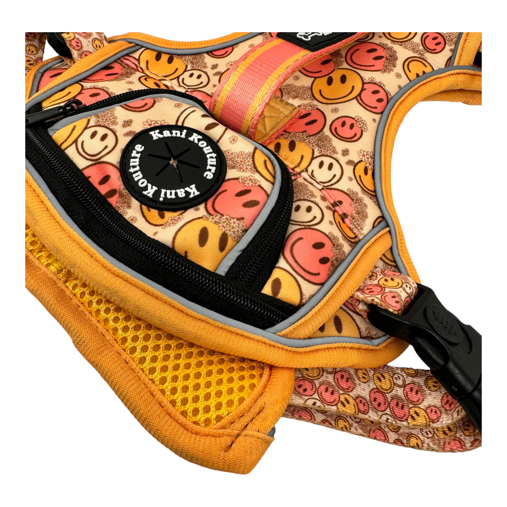 All Smiles - Adventure Harness