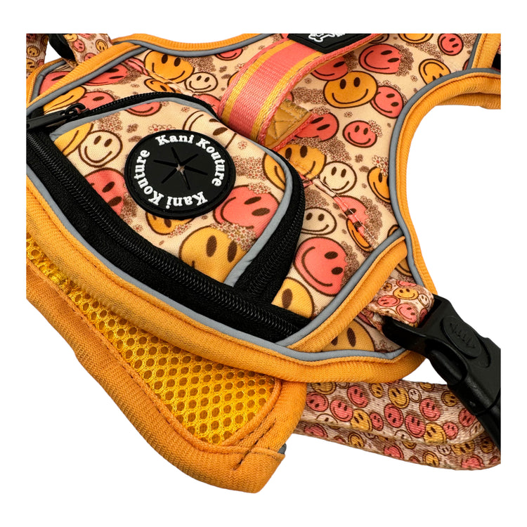 All Smiles - Adventure Harness
