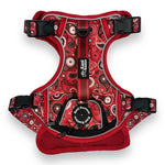 Red Paisley - Adventure Harness