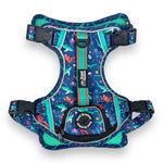 Scuba Dive - Adventure Harness