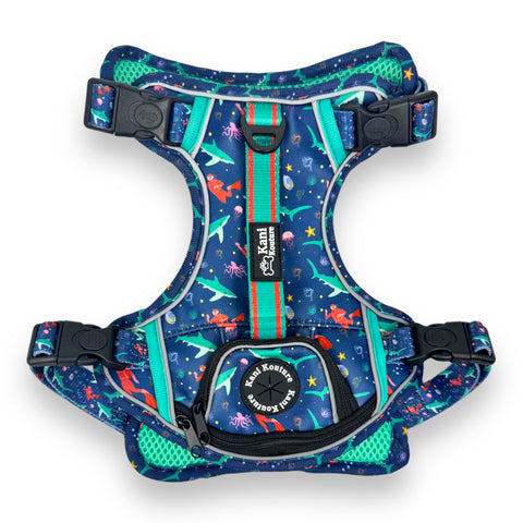 Scuba Dive - Adventure Harness