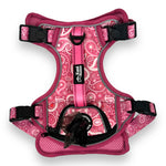 Pink Paisley - Adventure Harness