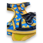 Rubber Ducky - Adventure Harness