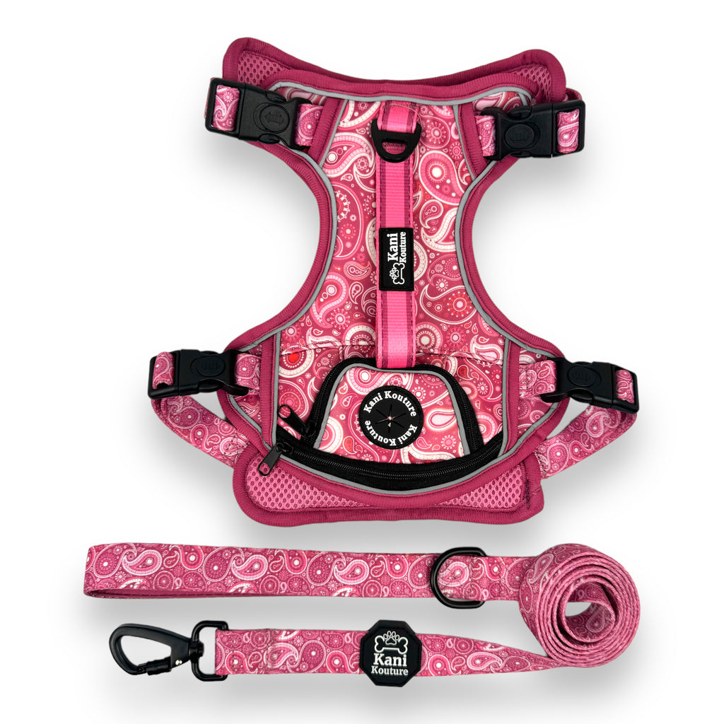 Pink Paisley - Adventure Harness