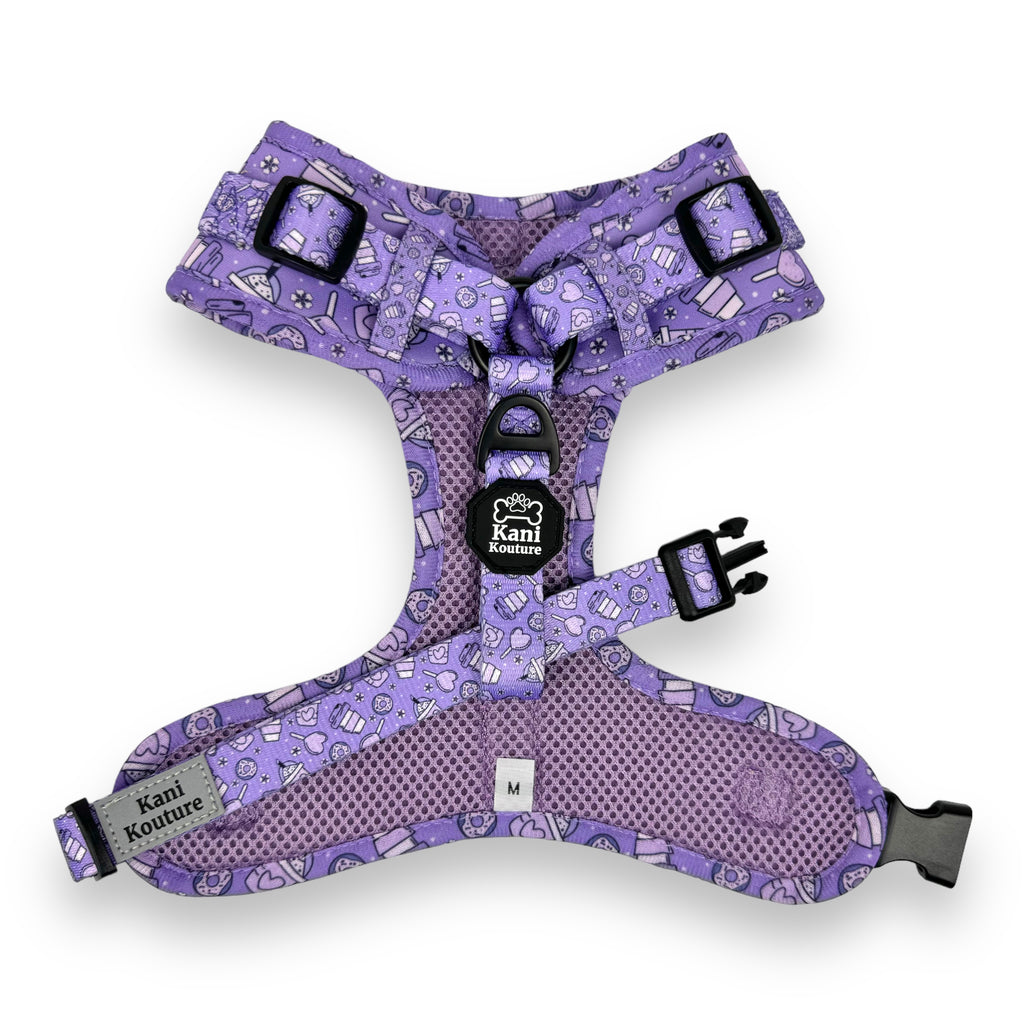 Lollipop Latte Dream - Adjustable Harness