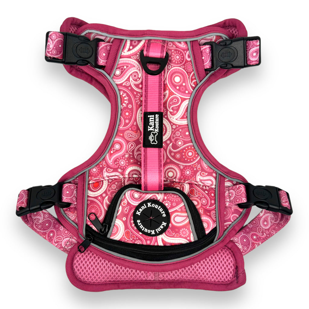 Pink Paisley - Adventure Harness