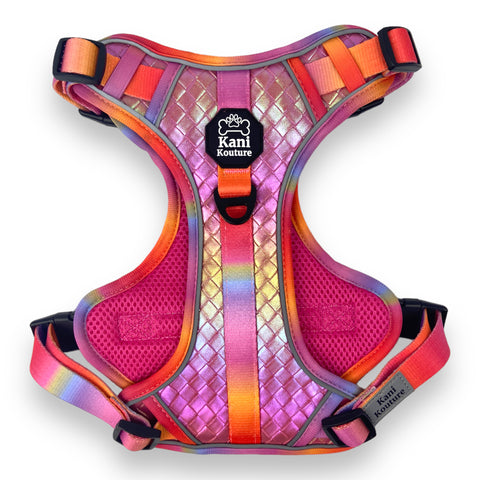 Fuchsia Meadows - Adventure Leather Harness