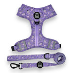 Lollipop Latte Dream - Adjustable Harness