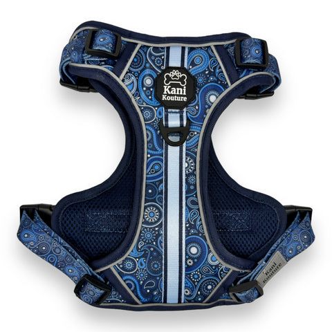 Blue Paisley - Adventure Harness