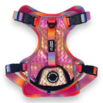 Fuchsia Meadows - Adventure Leather Harness