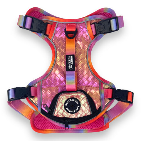 Fuchsia Meadows - Adventure Leather Harness