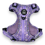 Lollipop Latte Dream - Adventure Harness