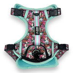 Melting Pot - Adventure Harness