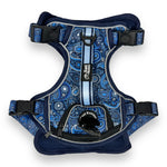 Blue Paisley - Adventure Harness
