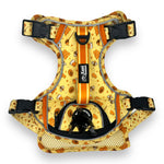 Honey Bee - Adventure Harness