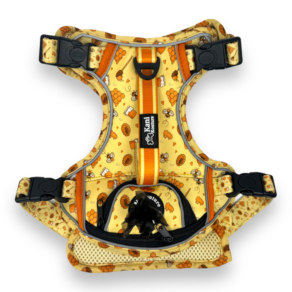 Honey Bee - Adventure Harness