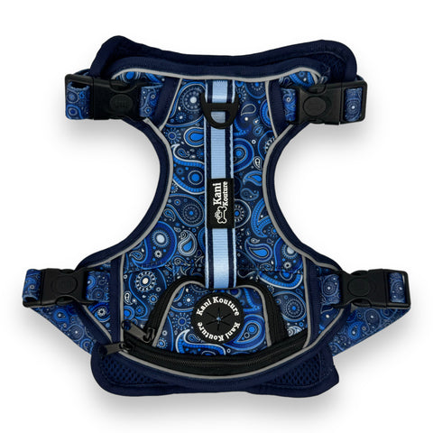 Blue Paisley - Adventure Harness