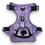 Lollipop Latte Dream - Adventure Harness