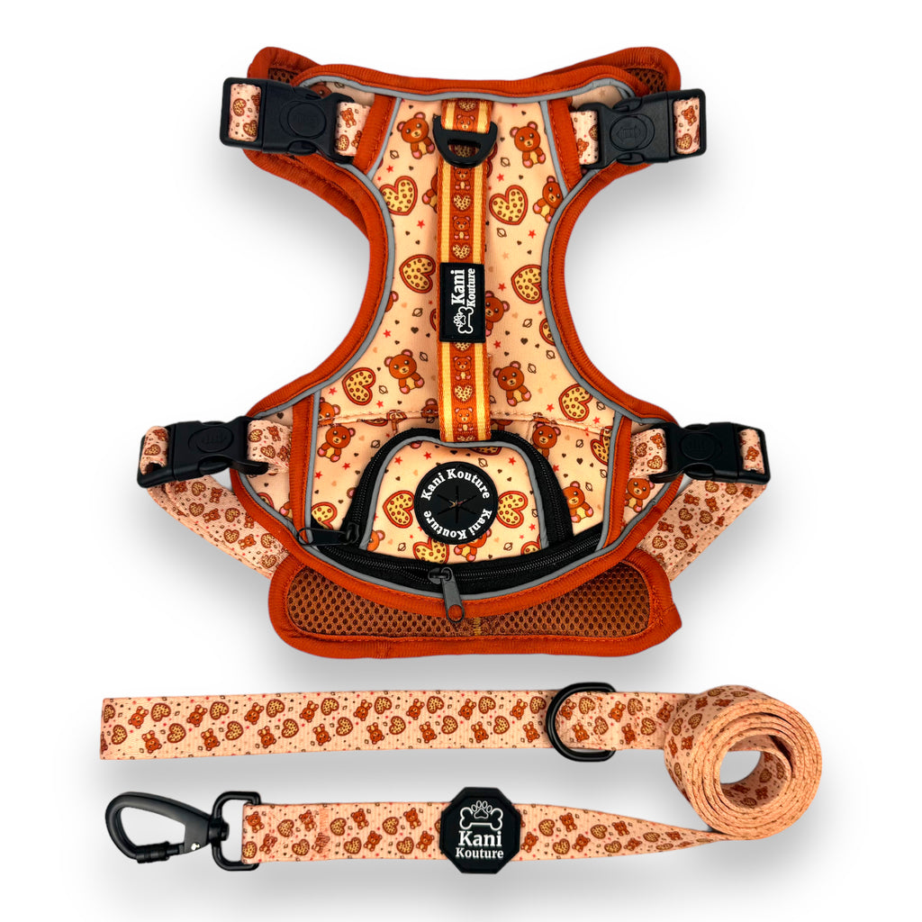 Teddy Hearts - Adventure Harness