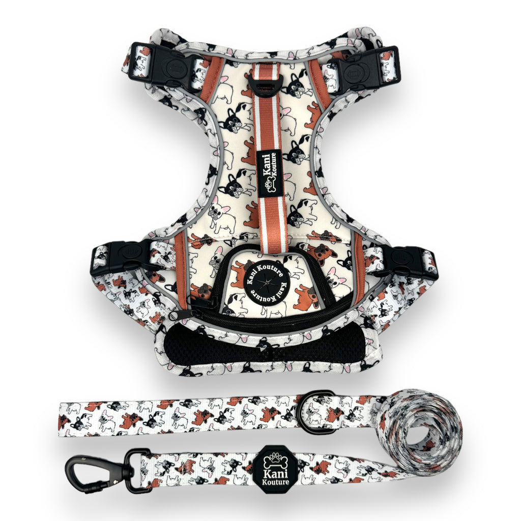 Frenchie - Adventure Harness