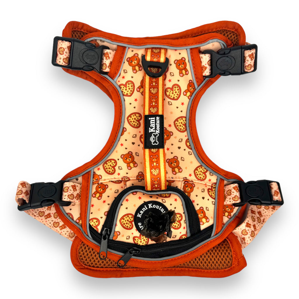Teddy Hearts - Adventure Harness