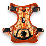 Teddy Hearts - Adventure Harness