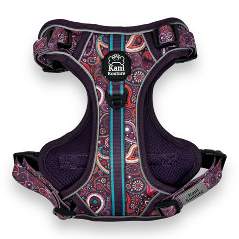 Purple Paisley - Adventure Harness