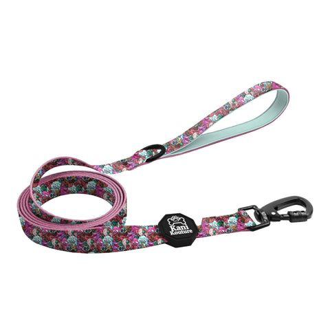 Melting Pot  Leash