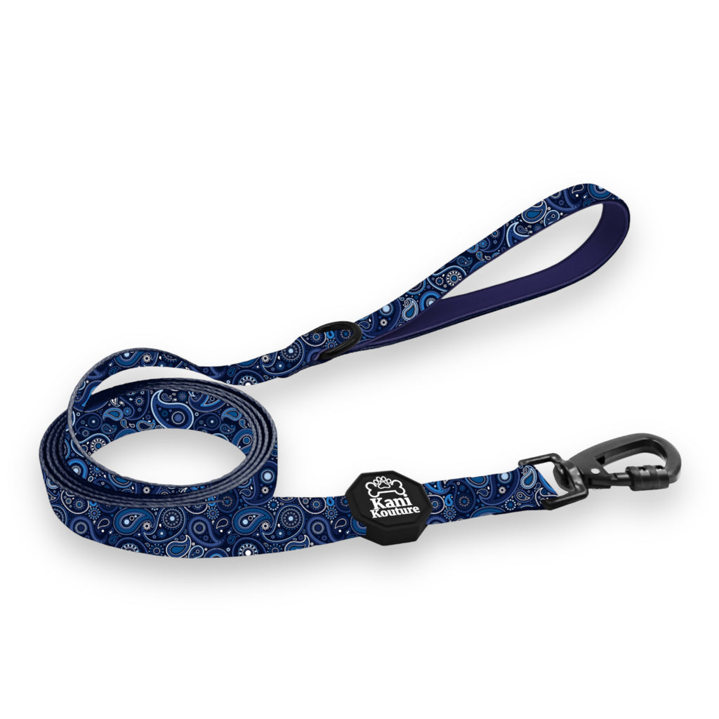 Blue Paisley Leash: Stylish and Functional Dog Leash for Walks