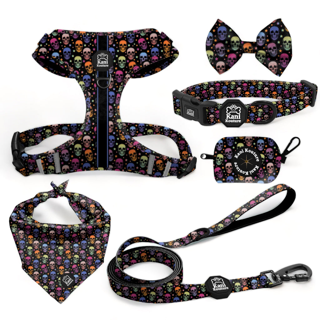 Skully Party - Deluxe Adjustable Set