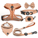 Teddy Hearts - Deluxe Adjustable Set