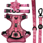 Pink Paisley - Adventure Bundle