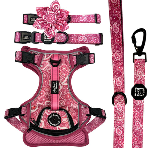 Pink Paisley - Adventure Bundle