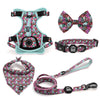 Melting Pot - Deluxe Adventure Set