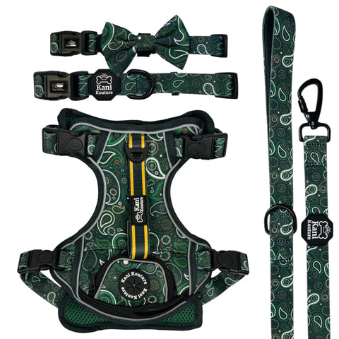 Green Paisley - Adventure Bundle