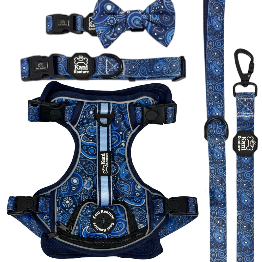 Blue Paisley Deluxe Adventure Set: Premium Dog Harness, Leash, Collar, Bow Tie, and Cooling Bandana