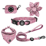 Pink Paisley - Deluxe Collar Set