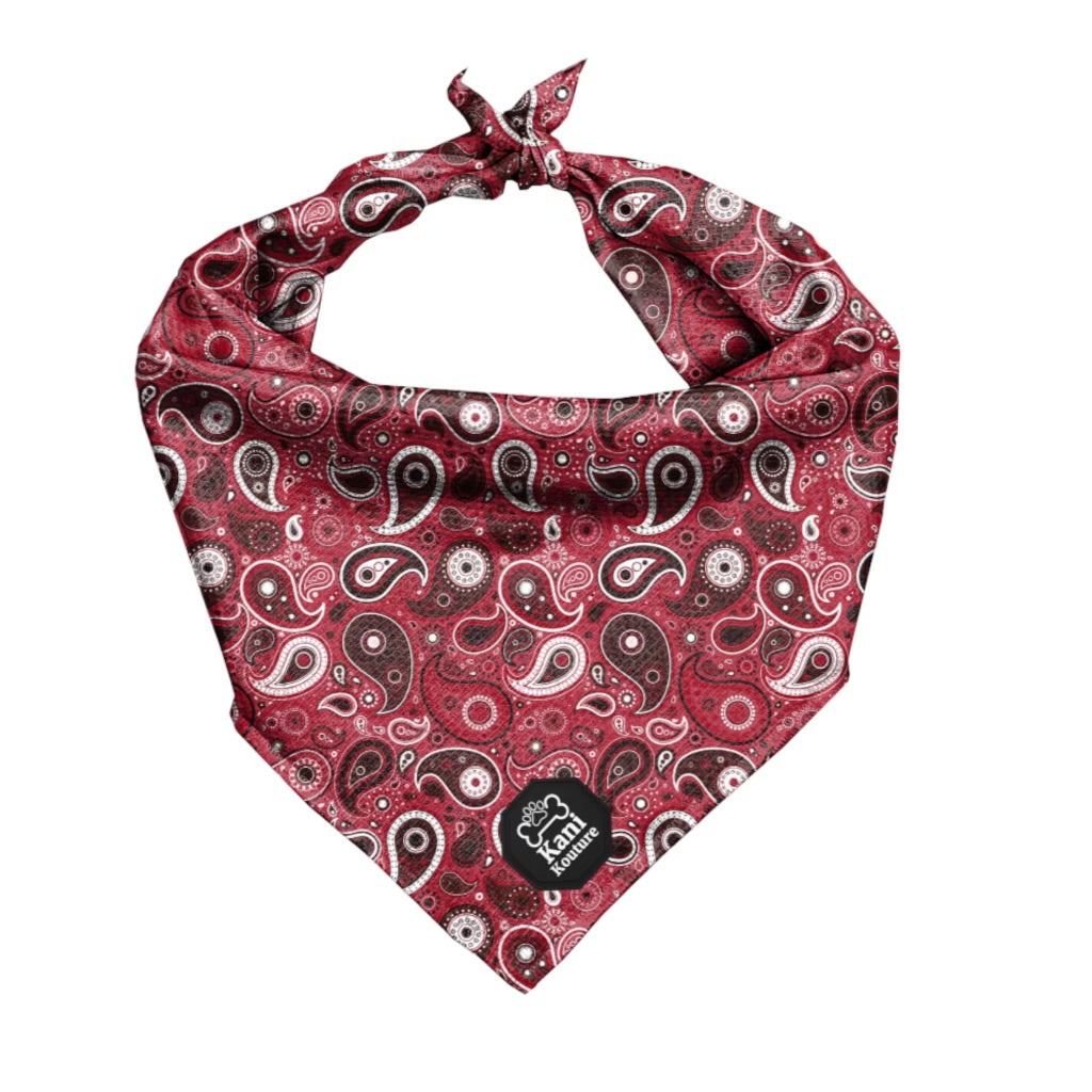 Red Paisley - Cooling Bandana