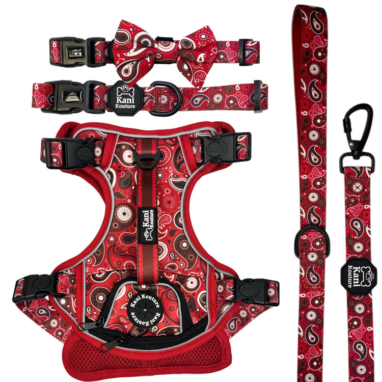 Red Paisley - Adventure Bundle