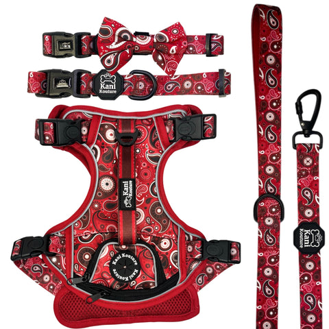 Red Paisley - Adventure Bundle