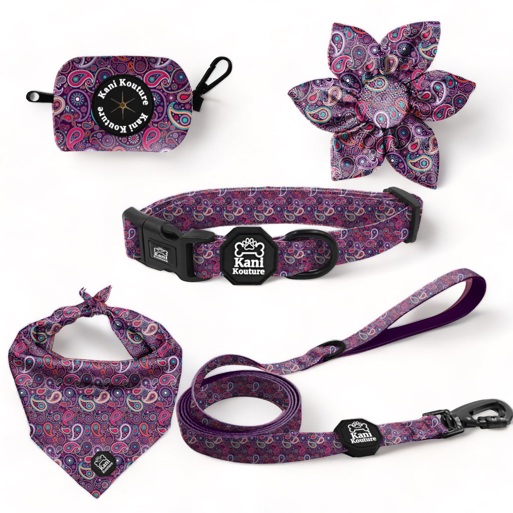 Purple Paisley - Deluxe Collar Set