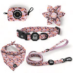 Tasty Donuts - Deluxe Collar Set