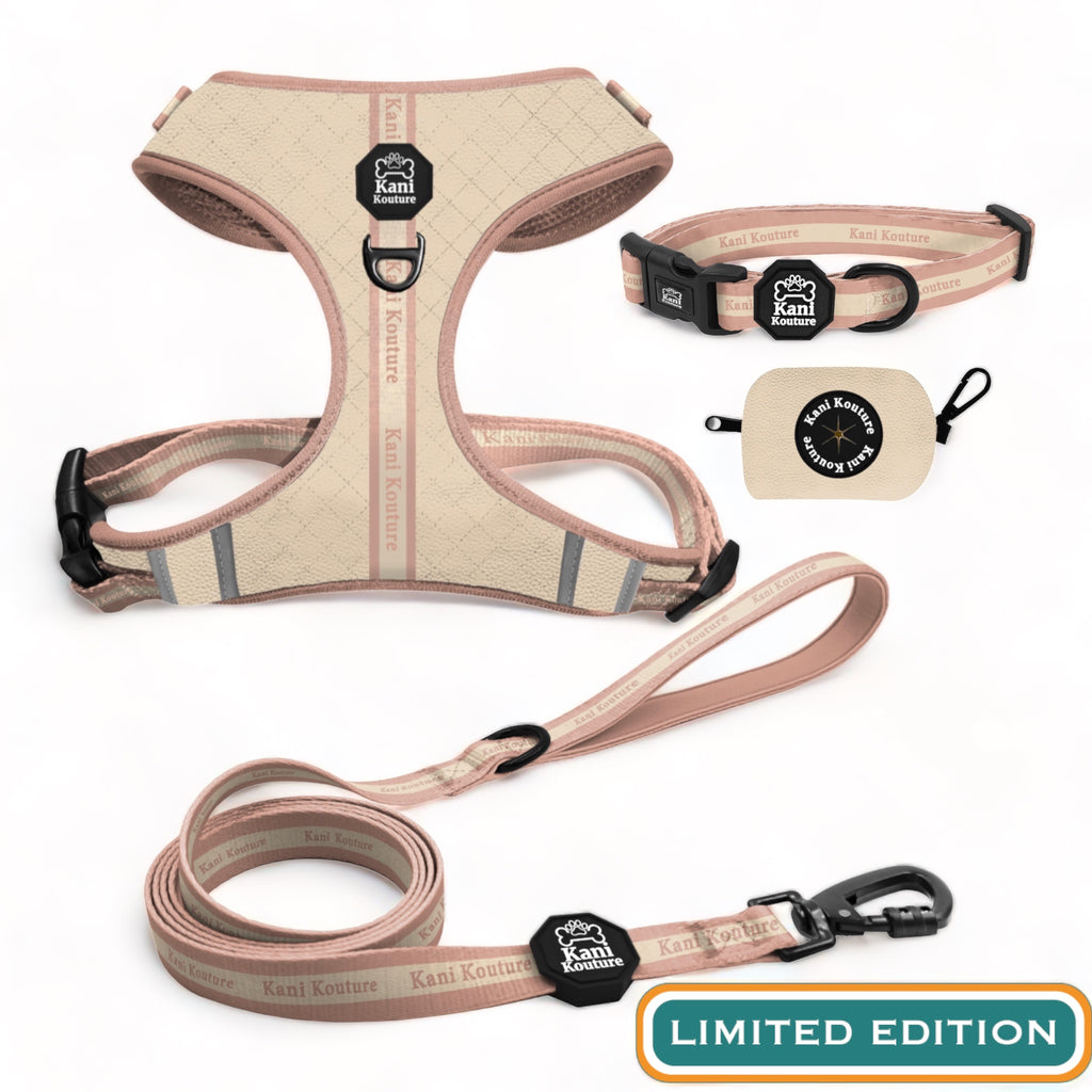 Blushing Sands Limited Edition's Essential Adjustable Set: Versatile Dog Harness, Collar, Leash, and Convenient Poop Bag Dispenser for Daily Adventures