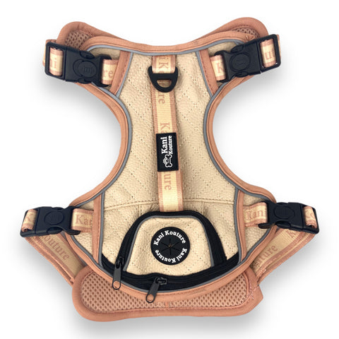 Blushing Sands - Adventure Leather Harness