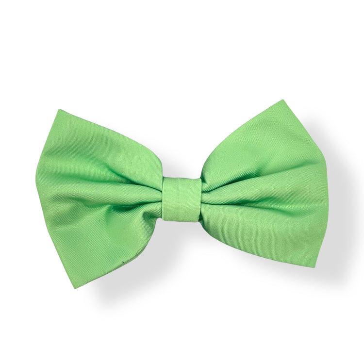 Mint Meadows - Bow Tie