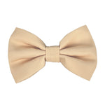 Créam Brûlée - Bow Tie