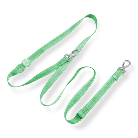 Mint Meadows - Hands Free Leash