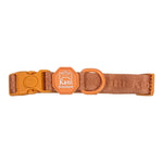 Coral Rush - Adjustable Collar