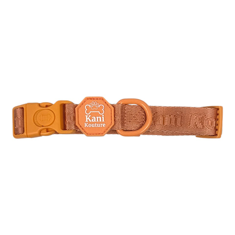 Coral Rush - Adjustable Collar