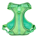 Mint Meadows - Adventure Harness